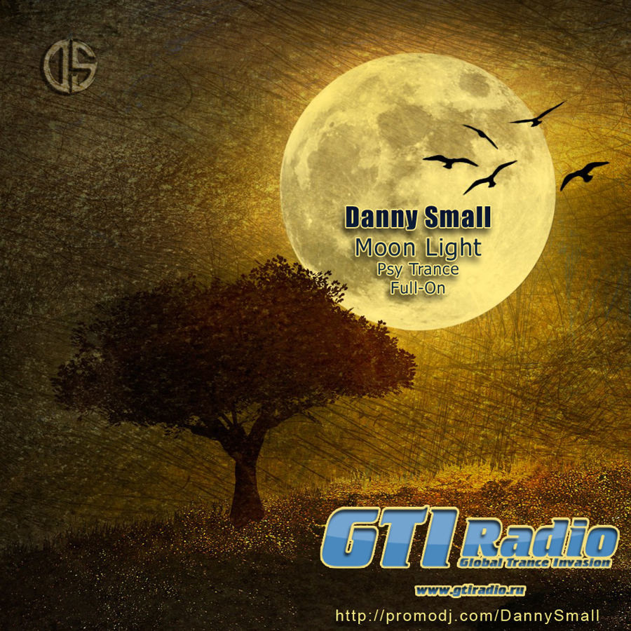 Danny Small - Moon Light (Radio mix) Danny Small - Moon Light (Radio mix)