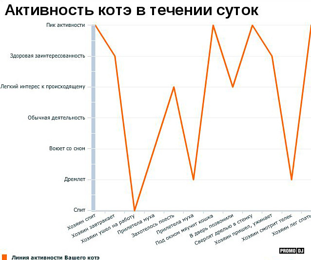 Статистика примеры из жизни