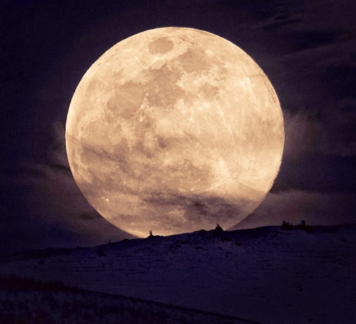 луна раст или убывающая фото 94