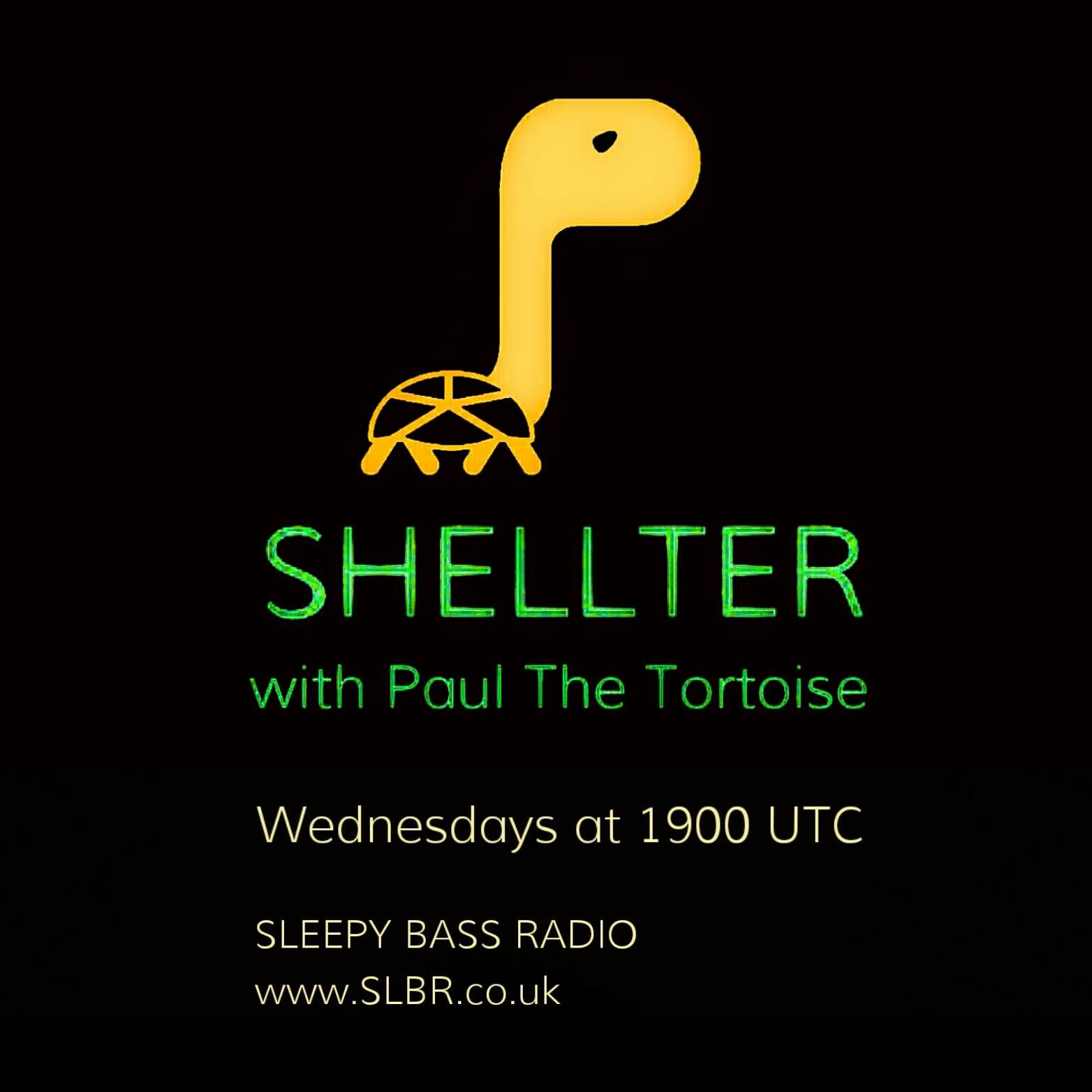 Shellter with Paul The Tortoise #47