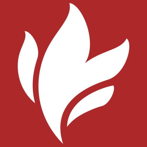 Shramm - Where Did You Sleep Last Night