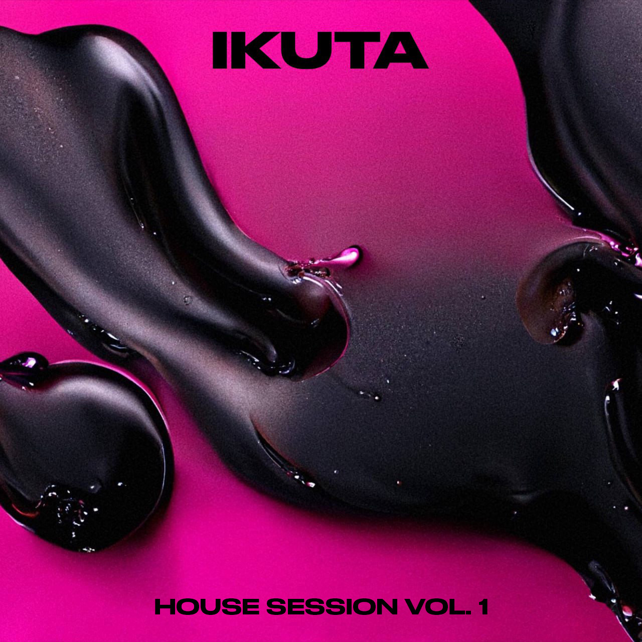 IKUTA HOUSE SESSION VOL 1 DJ ДЕНИС РУБЛЁВ DJ RUBLEV