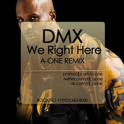 скачать dmx we in here