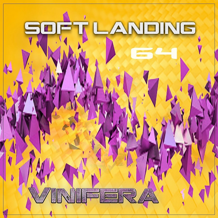 Vinifera – Soft Landing #064 - podcast episode cover