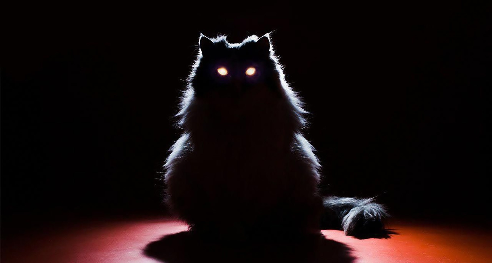 Коты с красными глазами