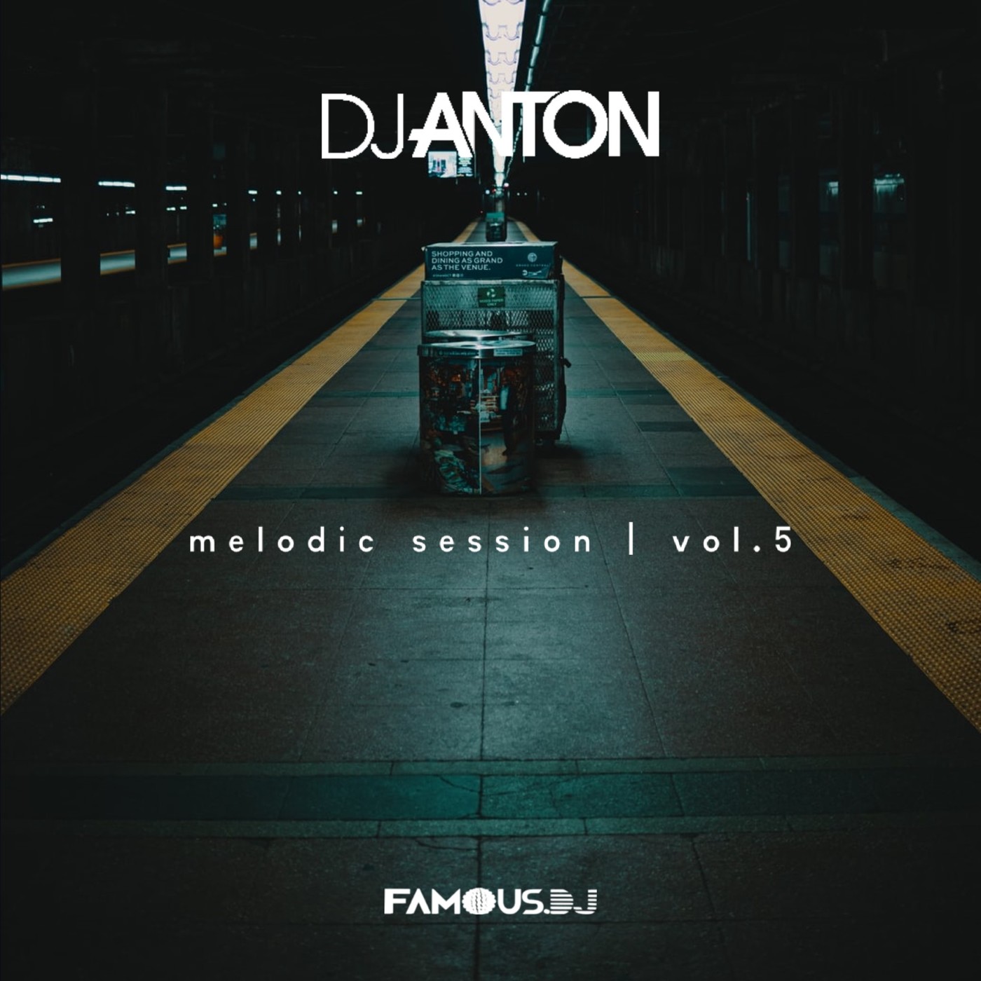 DJ ANTON - MELODIC SESSION VOL.05 episode artwork