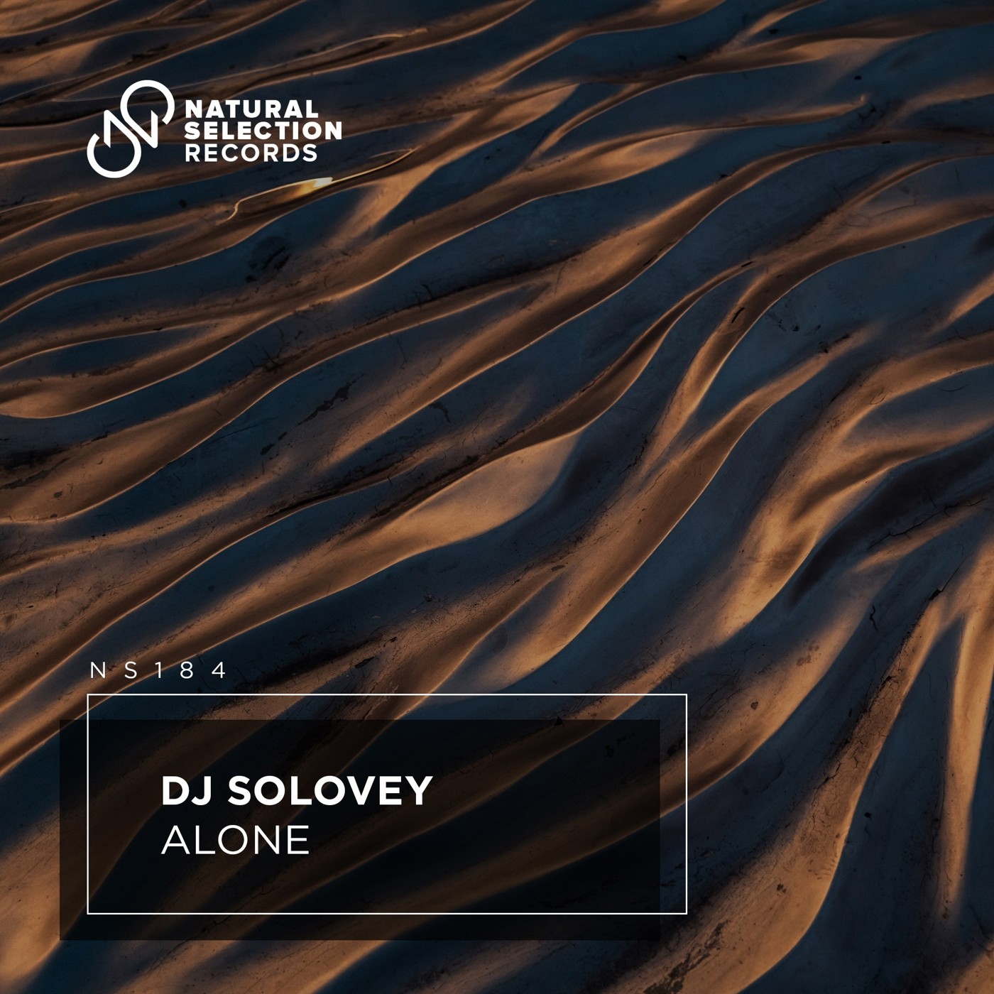 DJ Solovey - Alone episode artwork