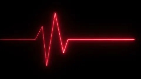 The Night Pulse The Night Pulse