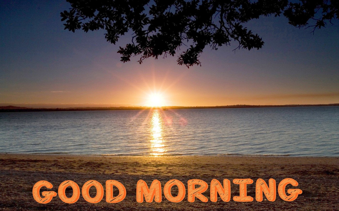 I XL - Good Morning
