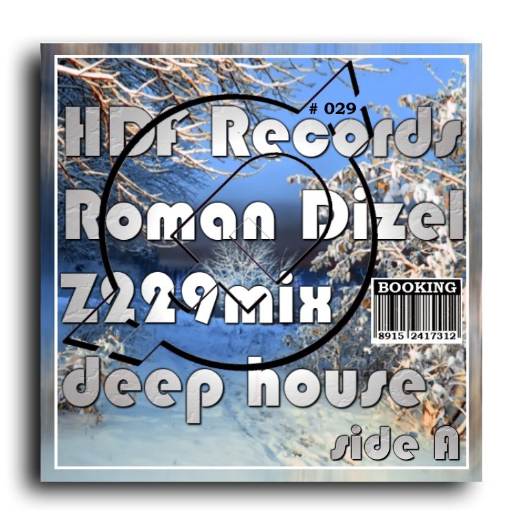 DJ ROMAN DIZEL