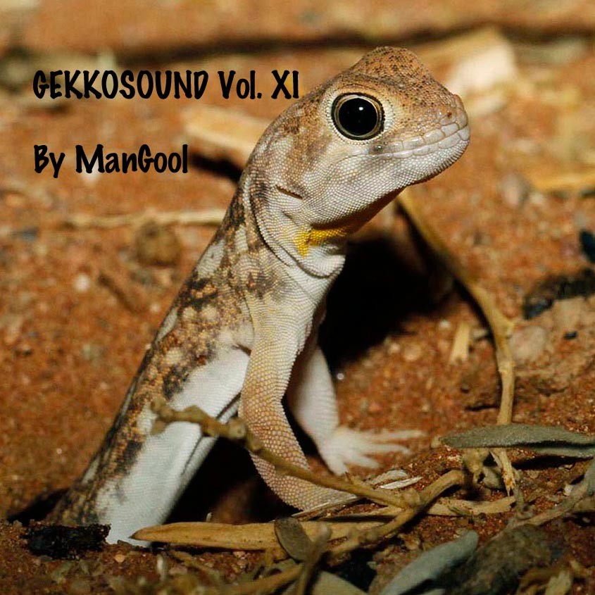 cover of episode Gekkosound XI