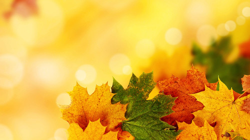 DJ KRINK - Autumn lounge