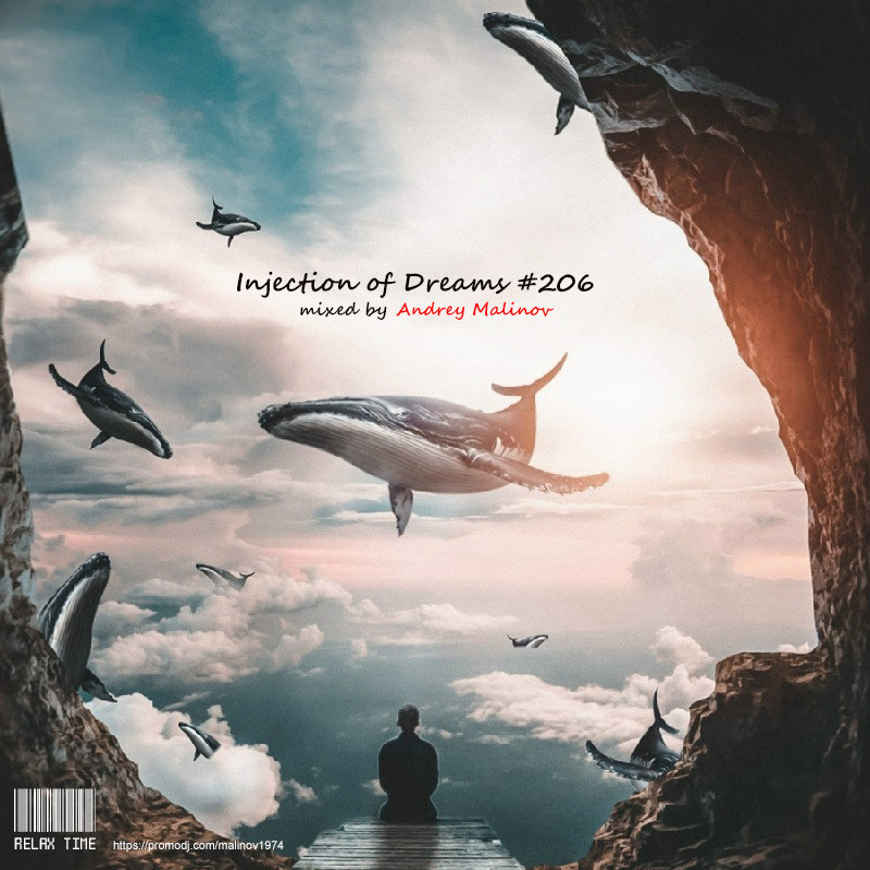 Andrey Malinov - Injection of Dreams #206