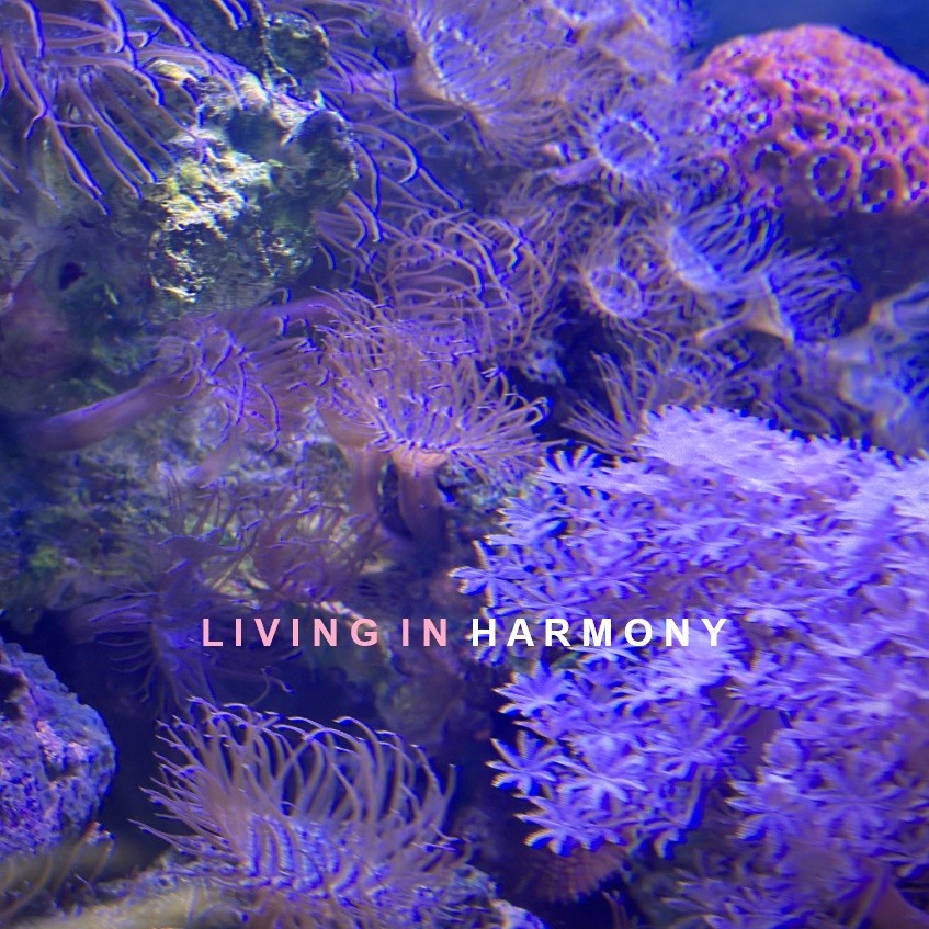 SVÖGAN - LIVING IN HARMONY #189 episode artwork