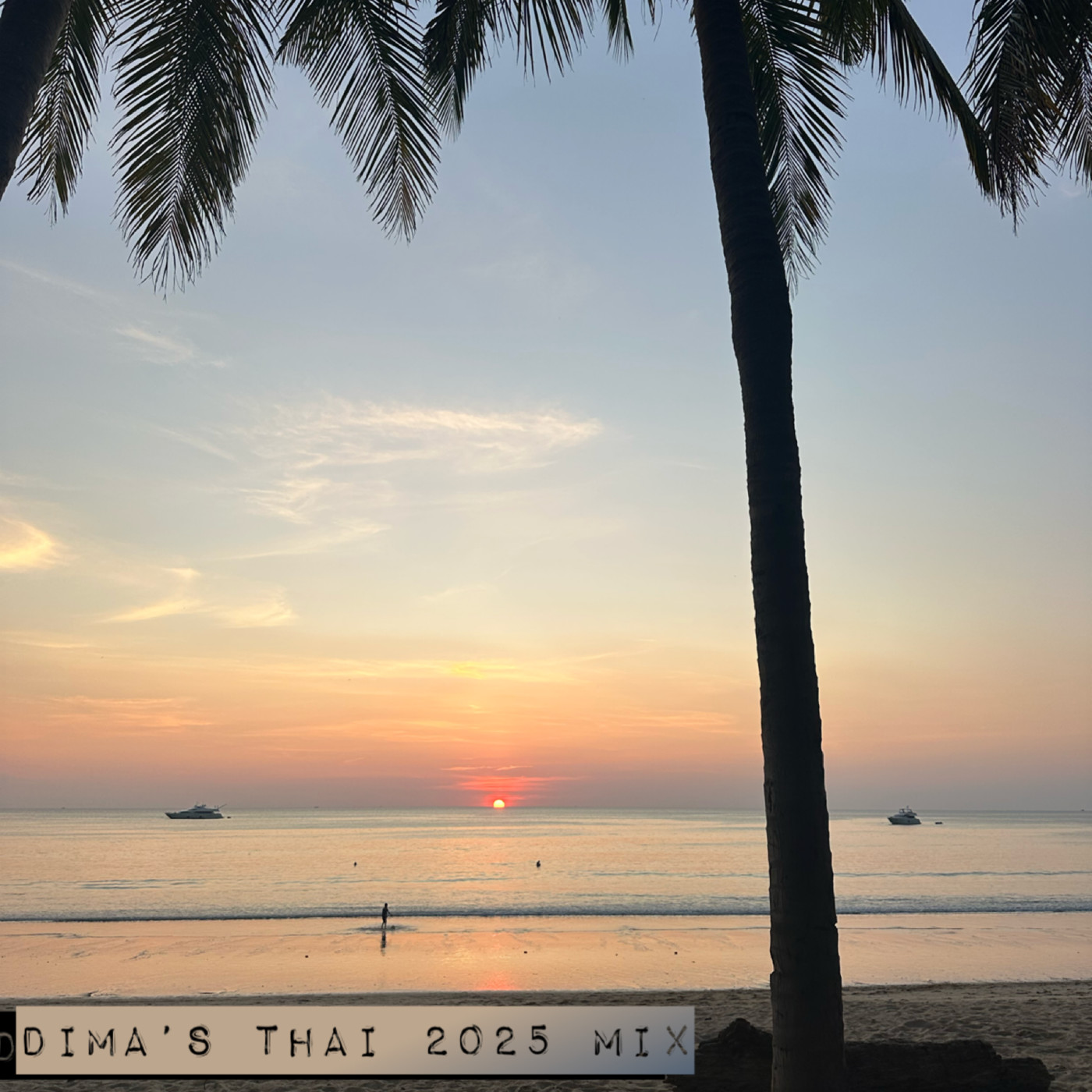 Dima'S Thai 2025