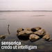 Sensorica — Credo Ut Intelligam episode artwork