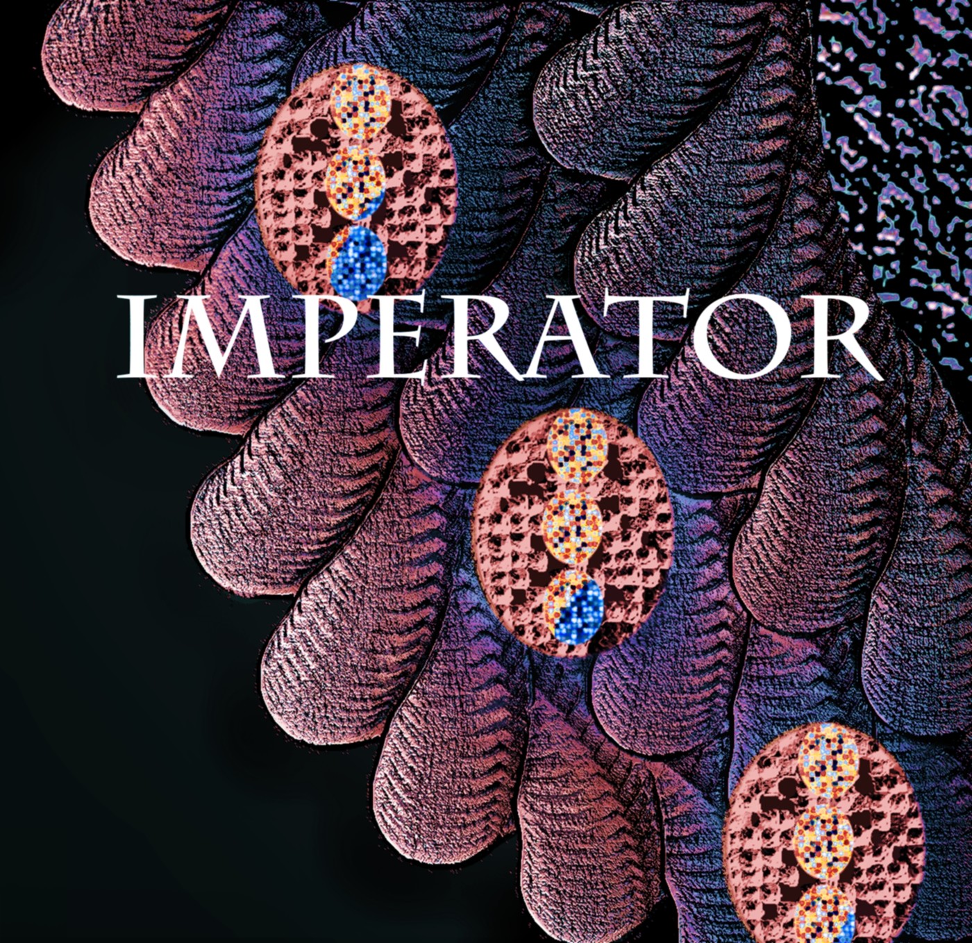 Borix-Imperator
