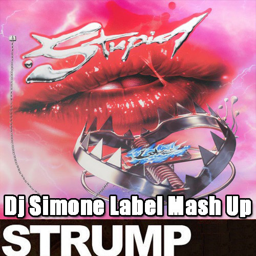 Lady Gaga Vs. Federico Scavo - Stupid Strump (Dj Simone Label Mash Up) - #djsimonelabel