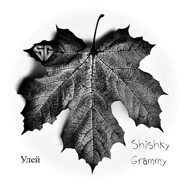 Shishky Grammy - Улей