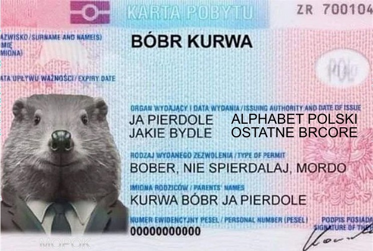 Бобр Курва Польски Альфабет