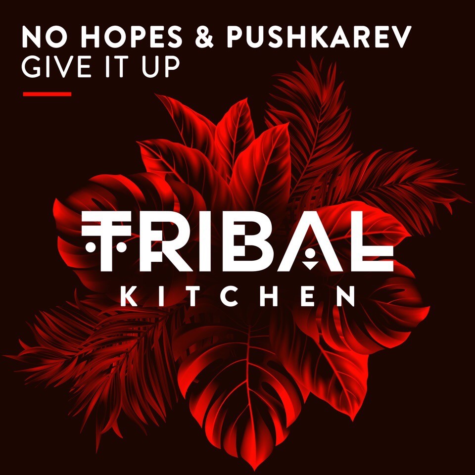 ALEX PUSHKAREV - DEEP EUPHORIA