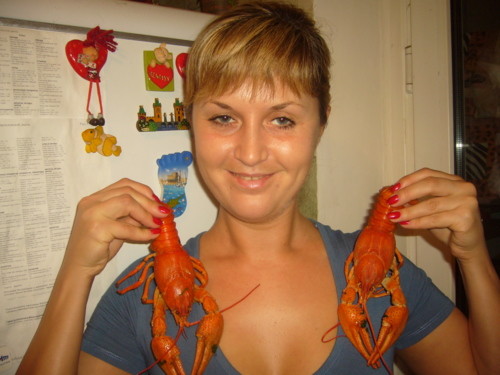 Marti Schulz & Моди Глю - Таверна "Жёлтые рога" (Радио сказка)