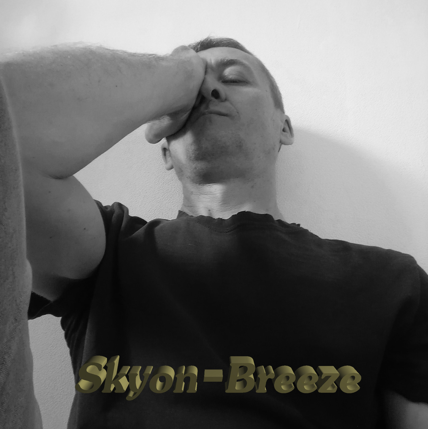 Skyon - Breeze