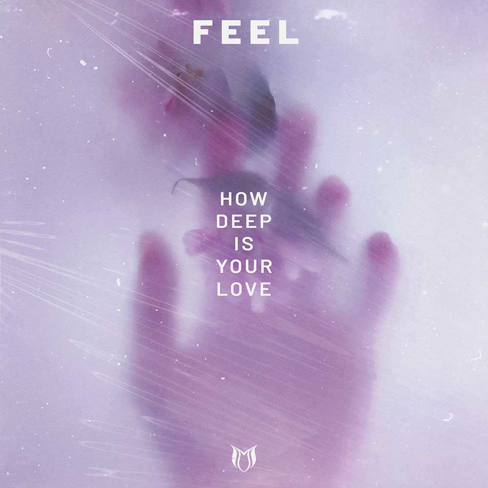 Feel - How Deep Is Your Love (Radio Mix)