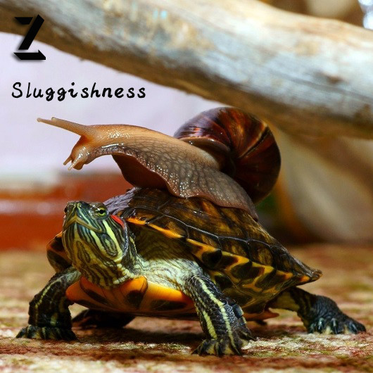 Z - Sluggishness episode artwork
