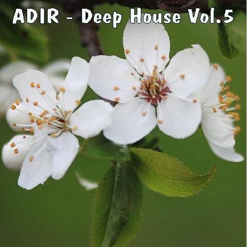 ADIR - Deep House Vol.5