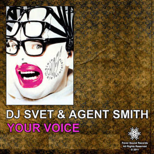 Dj Svet feat. Agent Smith - Your Voice (Original Mix) episode artwork