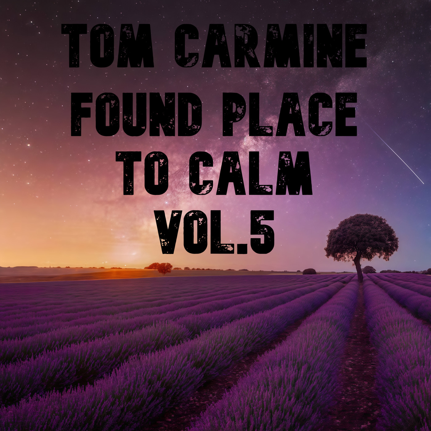 Tom Carmine Found Place to Calm Vol.5