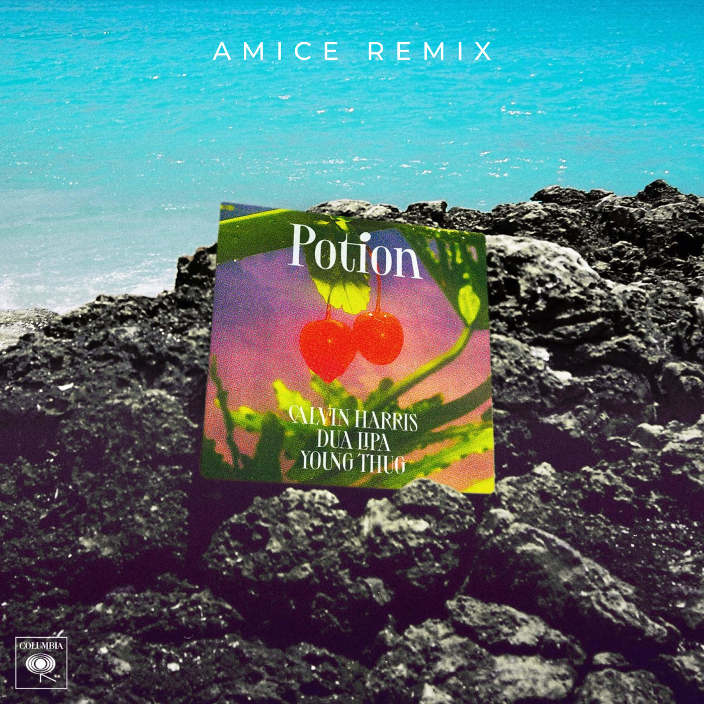 Calvin Harris feat. Dua Lipa & Young Thug - Potion (Amice Remix)