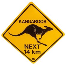 PromoDJ profile picture for @kangaroo