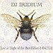 DJ Iridium - Live @ Flight of the Bumblebee 2 (04-11-11) episode artwork