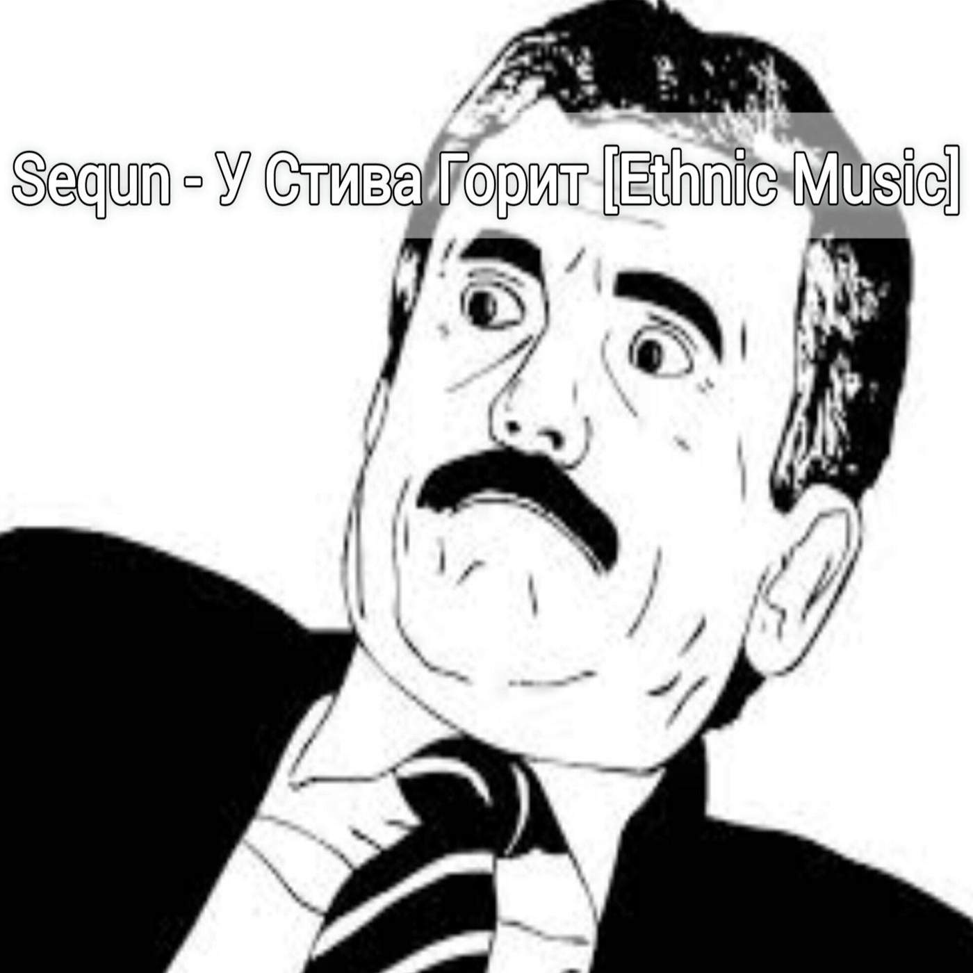 Sequn - У стива Горит [Ethnic Music]