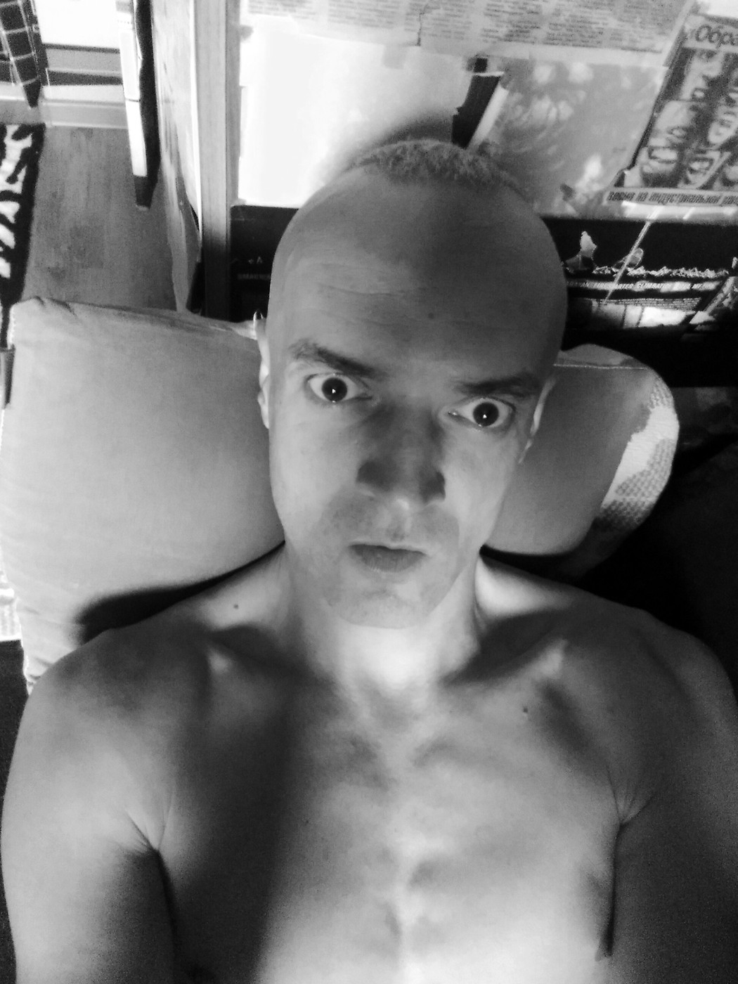 S-F - servant of the system