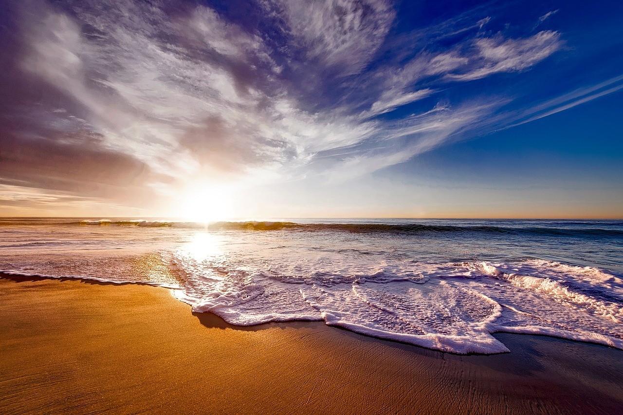 Ocean's Pictures