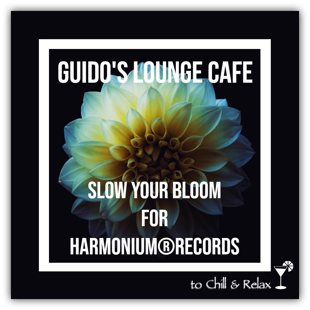 Guest mix (Slow Your Bloom) for Harmonium®Records #1 episode artwork