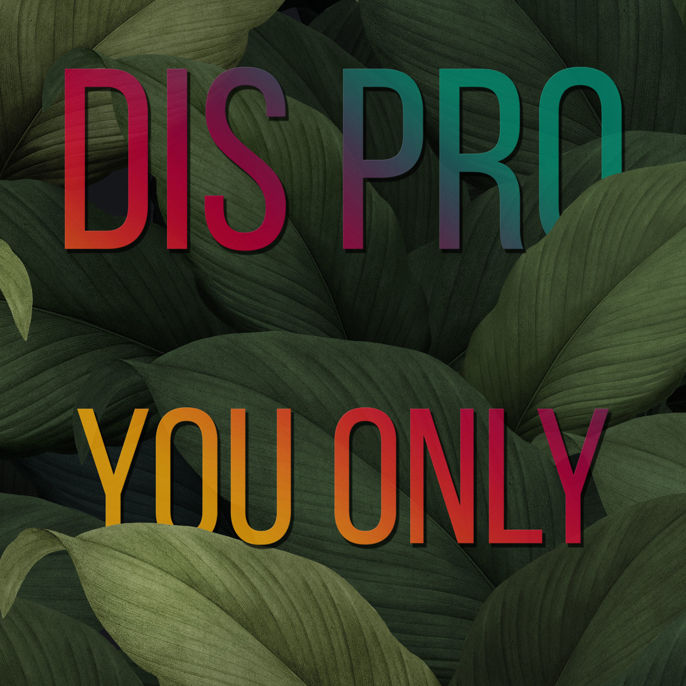 Dis Pro - You Only episode artwork