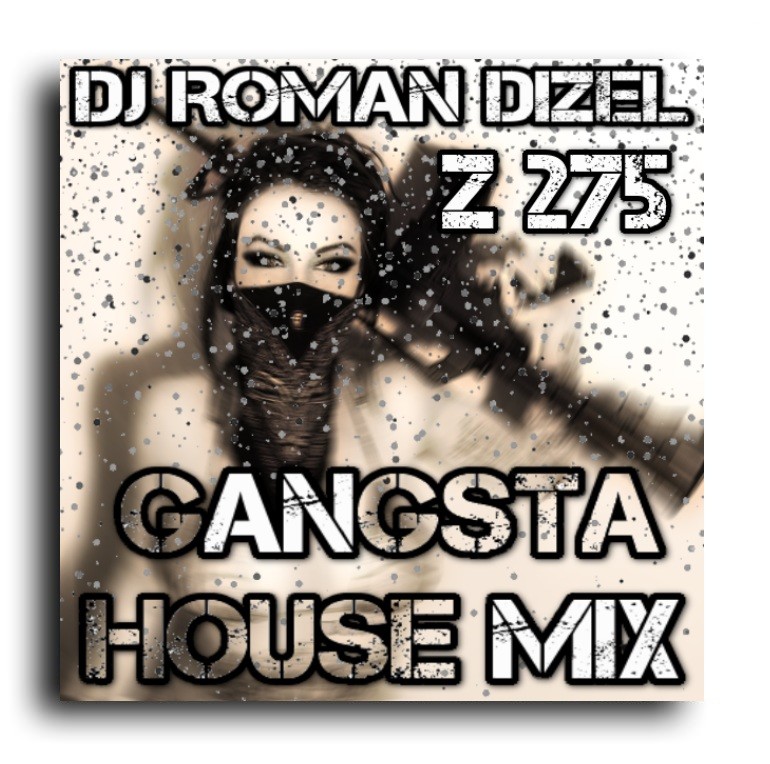 DJ ROMAN DIZEL