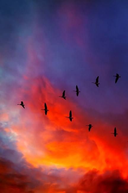 FS wolf & Lara Rai - ЭПИЛОГ (remaster)