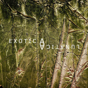 Exotic & Lunatic