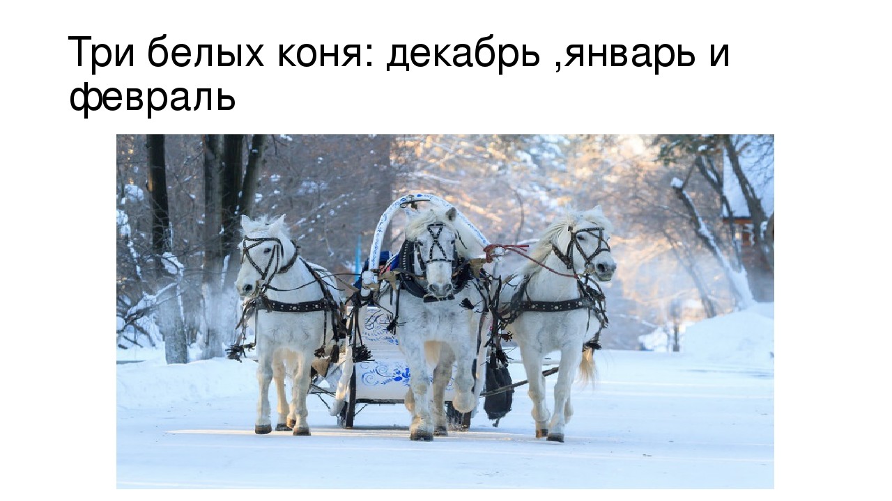 Слова песен три коня. Три белых коня декабрь январь и февраль текст. Три белых коня декабрь. Лошади декабрь январь и февраль. Эх 3 белых коня.
