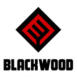 PozitivMC - Hip-Hop обзор #16 Blackwood. Скрытая правда. [Sound by D.Studio] episode artwork