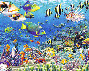 Selection Deep (DJ Li-Ion mix)