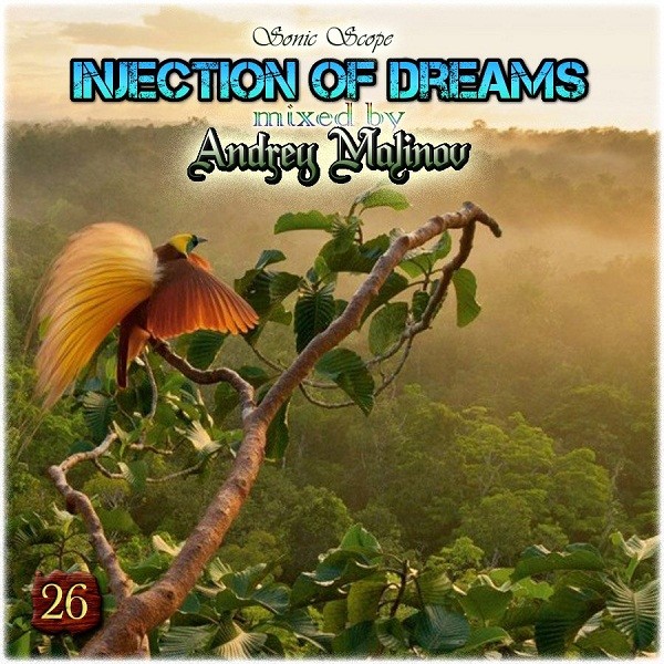 Andrey Malinov - Injection of Dreams # 26