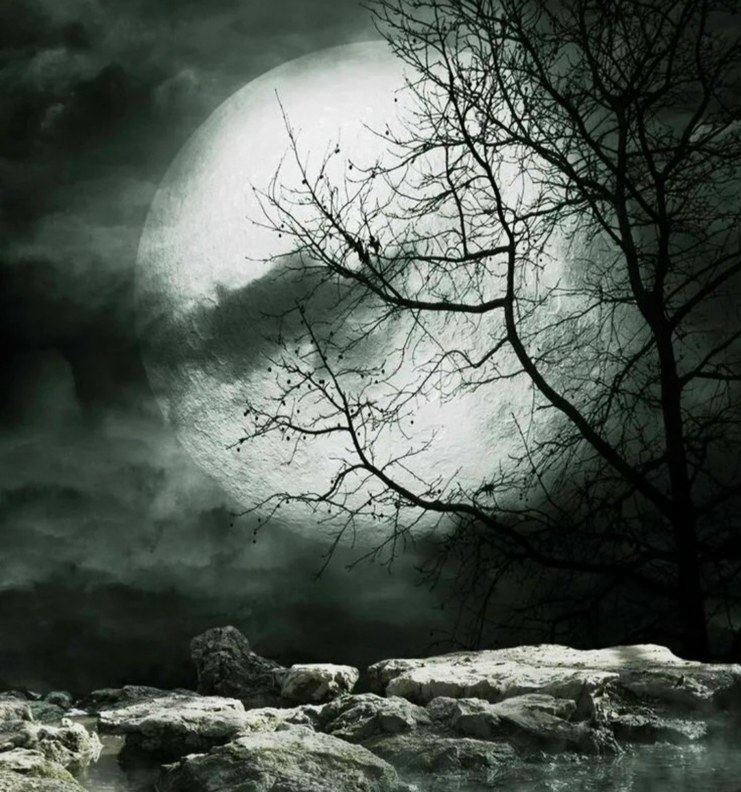 Mandorla... Yin/yang Darkess embracing Light in the eternal dance of life... Dar