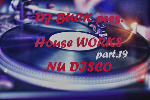 Dj Buck - House WORKS part 19 (NU DISCO)