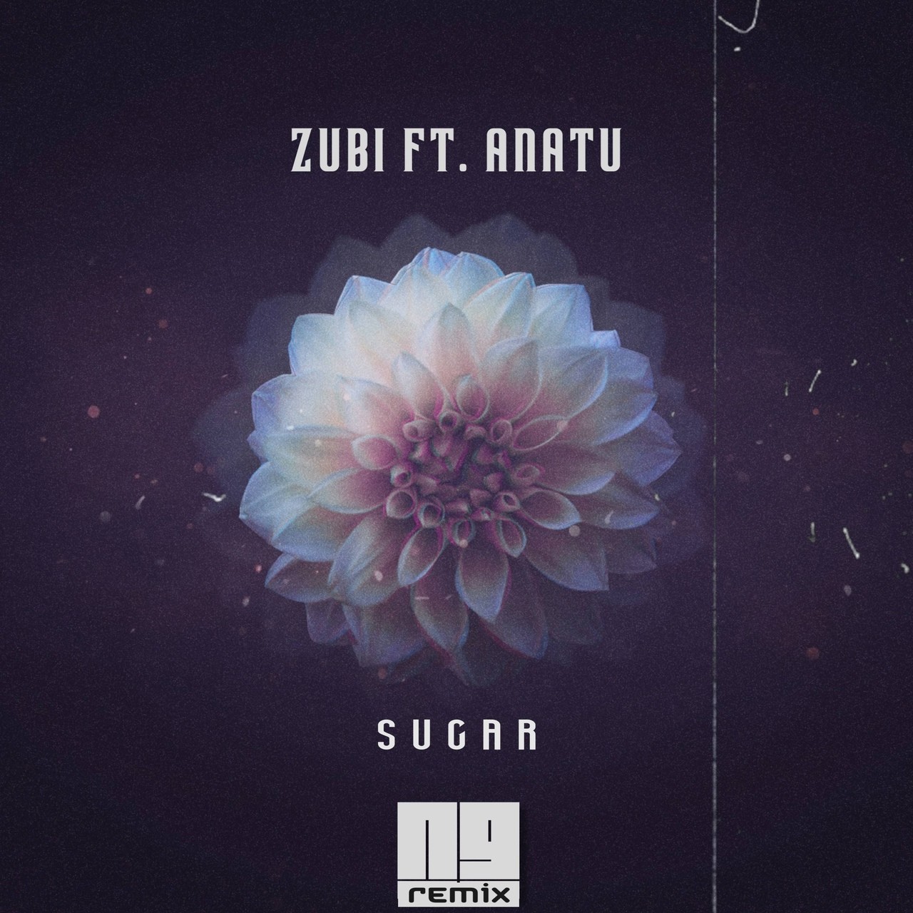 Zubi feat. Anatu Sugar (NG Remix) NG (Native Guest)